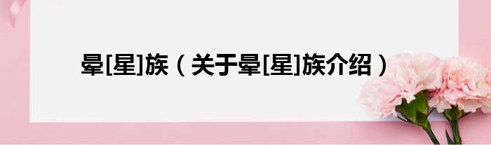 晕[星]族 关于晕[星]族介绍