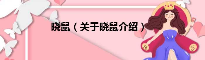 晓鼠 关于晓鼠介绍