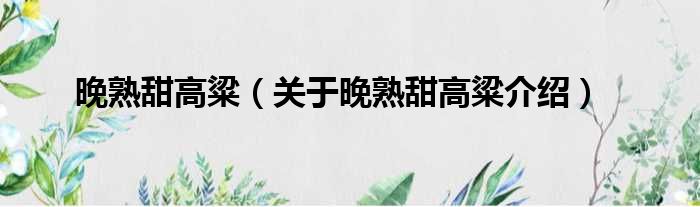 晚熟甜高粱 关于晚熟甜高粱介绍