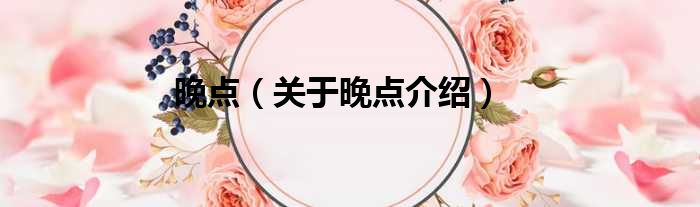 晚点 关于晚点介绍