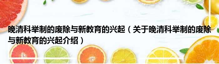 晚清科举制的废除与新教育的兴起 关于晚清科举制的废除与新教育的兴起介绍