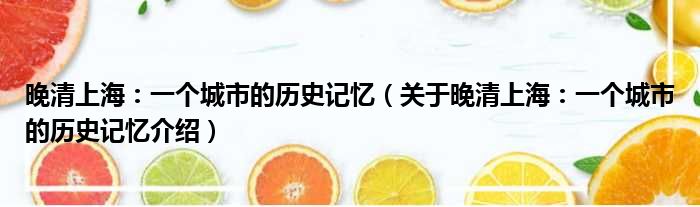 晚清上海：一个城市的历史记忆 关于晚清上海：一个城市的历史记忆介绍