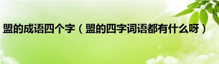 盟的成语四个字 盟的四字词语都有什么呀