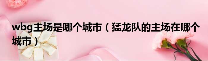 wbg主场是哪个城市 猛龙队的主场在哪个城市