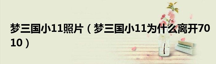 梦三国小11照片 梦三国小11为什么离开7010