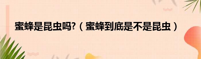 蜜蜂是昆虫吗  蜜蜂到底是不是昆虫