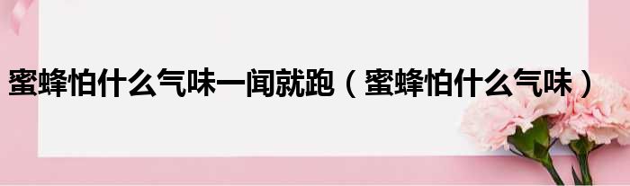 蜜蜂怕什么气味一闻就跑 蜜蜂怕什么气味