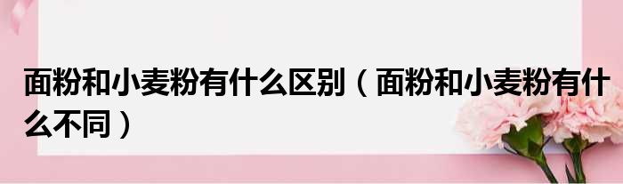 面粉和小麦粉有什么区别 面粉和小麦粉有什么不同
