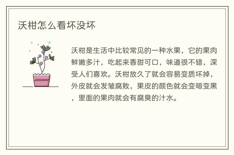 沃柑怎么看坏没坏