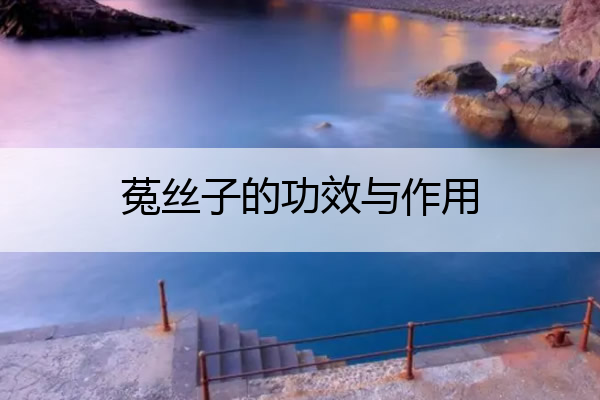 菟丝子的功效与作用 菟丝子的功效与作用图片