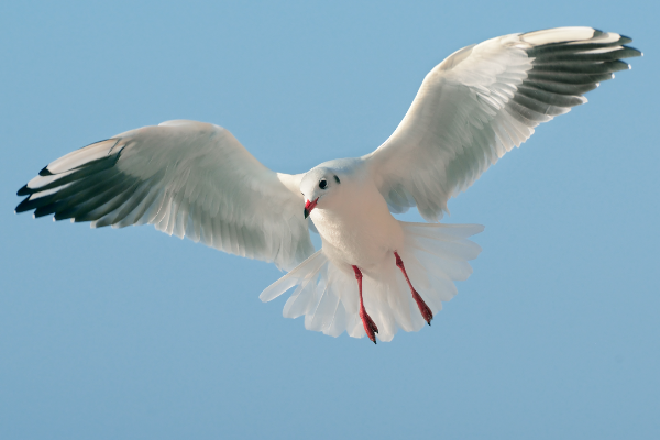 微微一笑很倾城取景大学