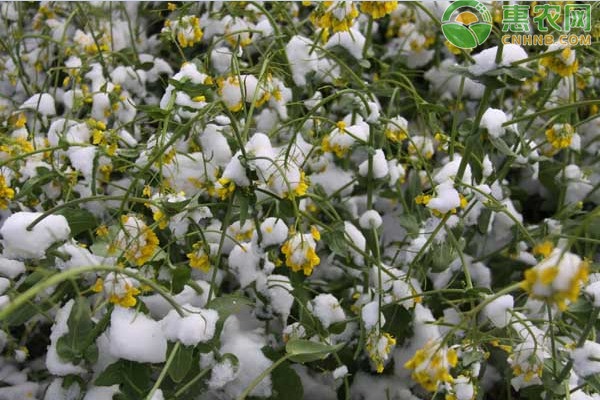 谚语“春捂秋冻”中“秋冻”的意思是什么