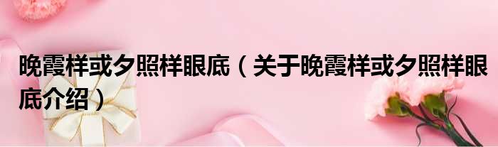 晚霞样或夕照样眼底 关于晚霞样或夕照样眼底介绍