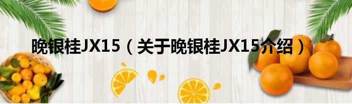 晚银桂JX15 关于晚银桂JX15介绍