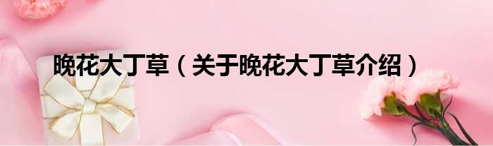 晚花大丁草 关于晚花大丁草介绍