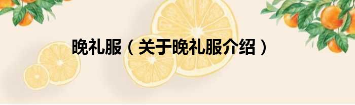 晚礼服 关于晚礼服介绍