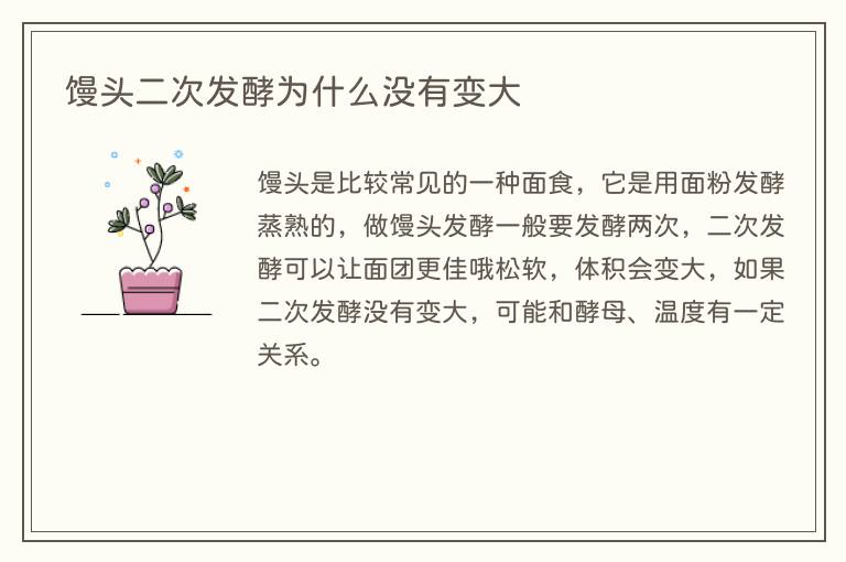 馒头二次发酵为什么没有变大