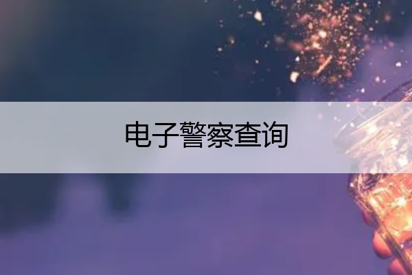 电子警察查询 电子警察查询违章查询