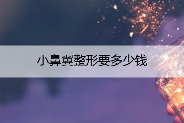 小鼻翼整形要多少钱 鼻翼整型要花多少钱