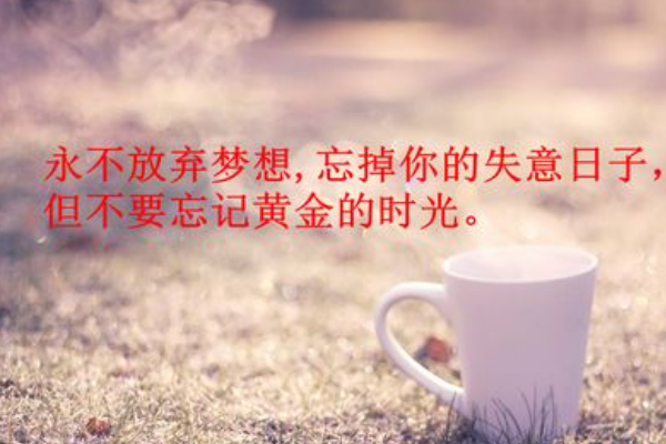 关于青春年华的句子