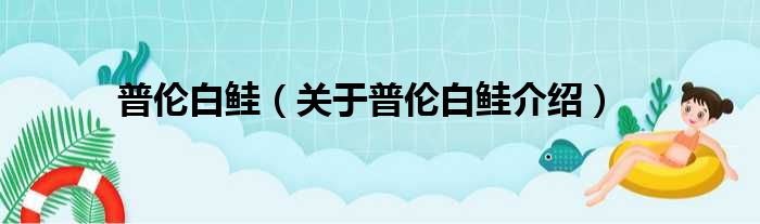 普伦白鲑 关于普伦白鲑介绍