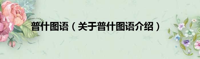 普什图语 关于普什图语介绍