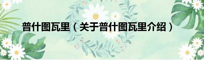 普什图瓦里 关于普什图瓦里介绍