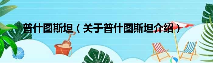 普什图斯坦 关于普什图斯坦介绍