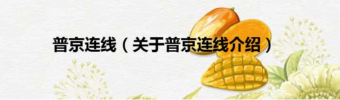 普京连线 关于普京连线介绍