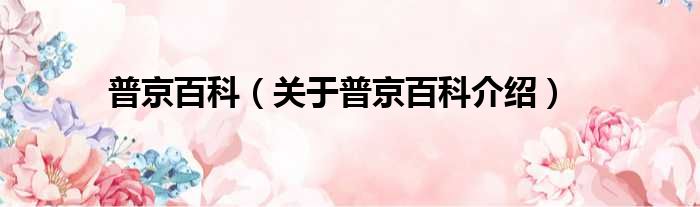 普京百科 关于普京百科介绍