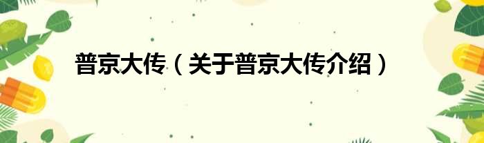 普京大传 关于普京大传介绍