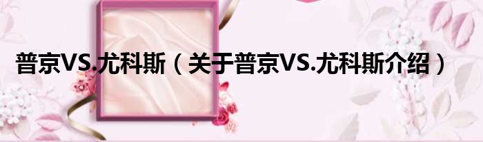 普京VS.尤科斯 关于普京VS.尤科斯介绍