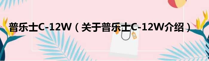 普乐士C 12W 关于普乐士C 12W介绍