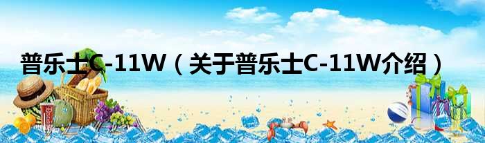 普乐士C 11W 关于普乐士C 11W介绍
