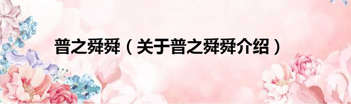 普之舜舜 关于普之舜舜介绍