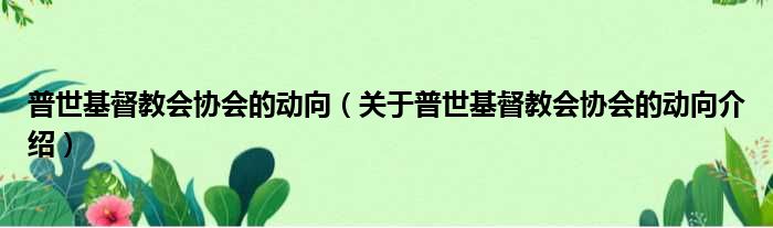 普世基督教会协会的动向 关于普世基督教会协会的动向介绍