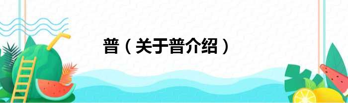 普 关于普介绍