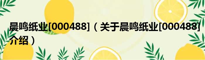 晨鸣纸业[000488] 关于晨鸣纸业[000488]介绍