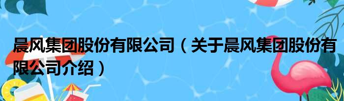 晨风集团股份有限公司 关于晨风集团股份有限公司介绍