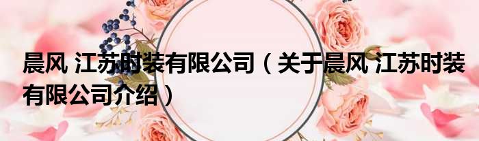 晨风 江苏时装有限公司 关于晨风 江苏时装有限公司介绍