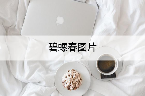 碧螺春图片 碧螺春图片大全大图