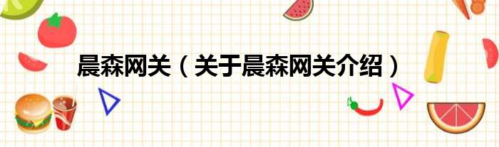 晨森网关 关于晨森网关介绍