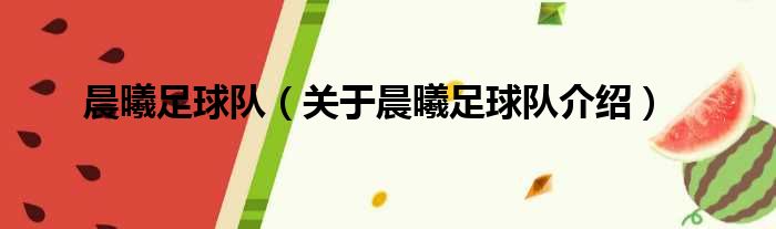 晨曦足球队 关于晨曦足球队介绍