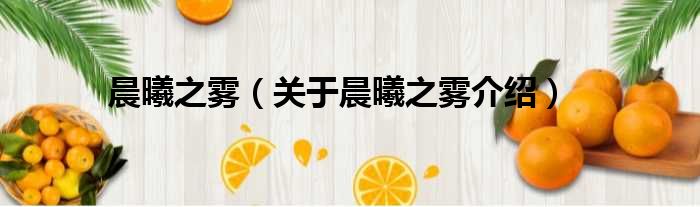 晨曦之雾 关于晨曦之雾介绍