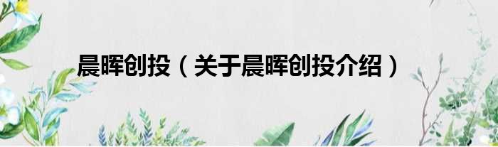 晨晖创投 关于晨晖创投介绍