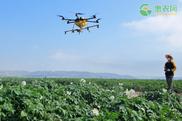 我国农业主产区在哪 附七大农产品主产区介绍