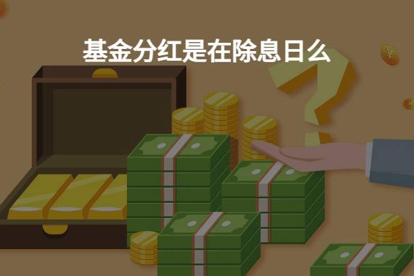 除息和除权的区别