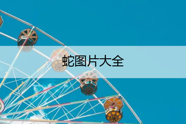 蛇图片大全 蛇图片大全大图