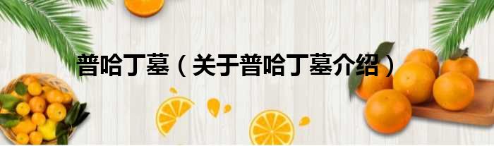 普哈丁墓 关于普哈丁墓介绍