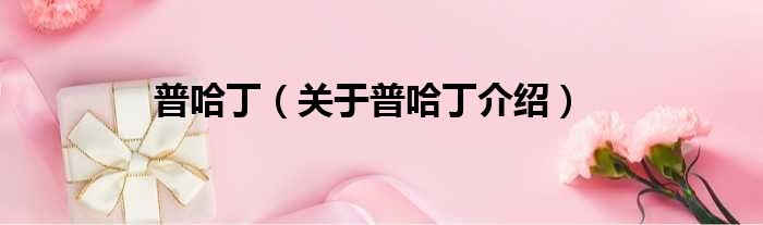 普哈丁 关于普哈丁介绍